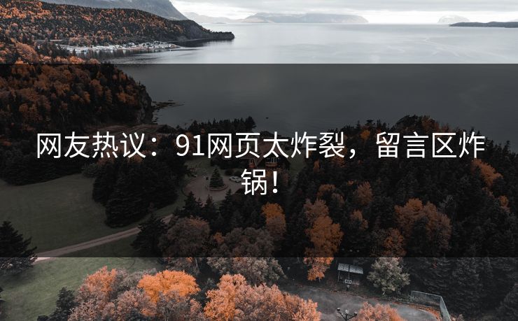 网友热议：91网页太炸裂，留言区炸锅！