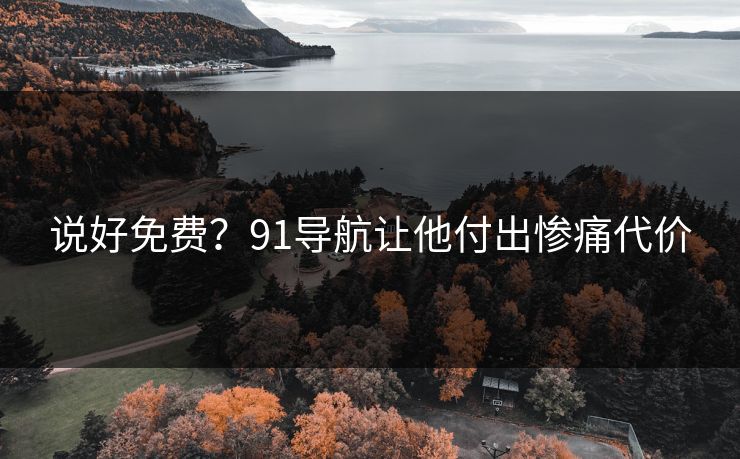 说好免费？91导航让他付出惨痛代价