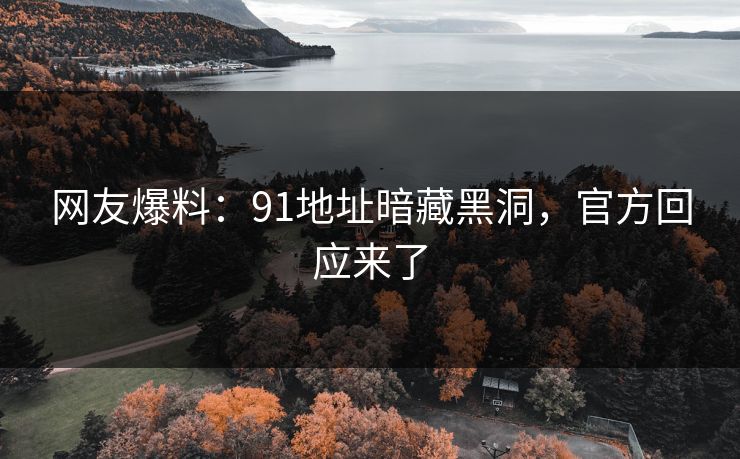 网友爆料：91地址暗藏黑洞，官方回应来了