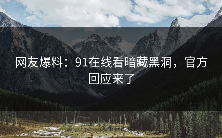 网友爆料：91在线看暗藏黑洞，官方回应来了