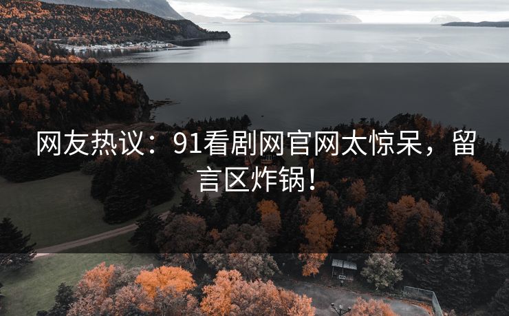 网友热议：91看剧网官网太惊呆，留言区炸锅！