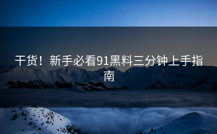干货！新手必看91黑料三分钟上手指南