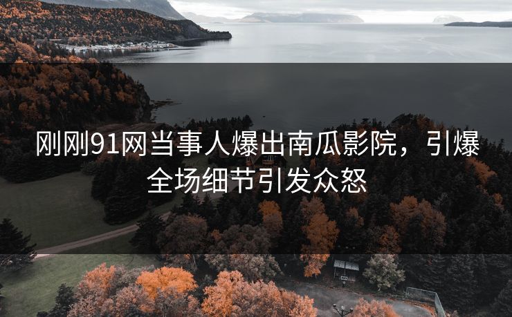 刚刚91网当事人爆出南瓜影院，引爆全场细节引发众怒