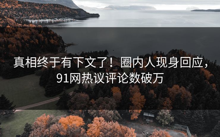 真相终于有下文了！圈内人现身回应，91网热议评论数破万