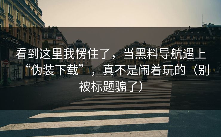 看到这里我愣住了，当黑料导航遇上“伪装下载”，真不是闹着玩的（别被标题骗了）