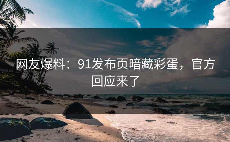网友爆料：91发布页暗藏彩蛋，官方回应来了