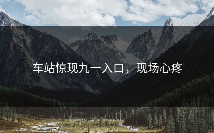 车站惊现九一入口，现场心疼