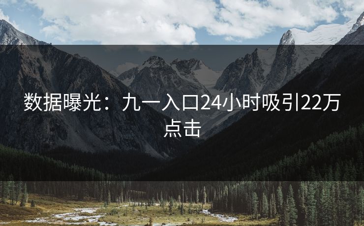 数据曝光：九一入口24小时吸引22万点击