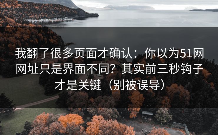 我翻了很多页面才确认：你以为51网网址只是界面不同？其实前三秒钩子才是关键（别被误导）
